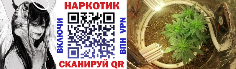Купить Псилоцибиновые грибы  МЕФ  АМФЕТАМИН  Омутнинск