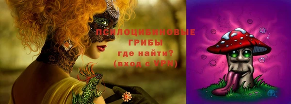 трава Армянск