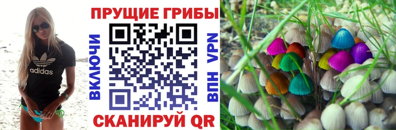 Галлюциногенные грибы Psilocybine cubensis  Купить  Омутнинск 